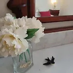 公寓 Vista Premium Sto Antonio