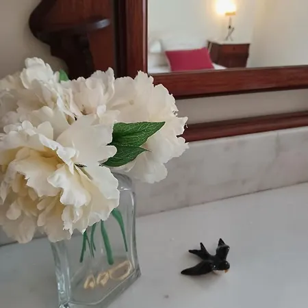 Apartment Vista Premium Sto Antonio